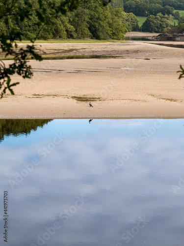 Sur les bords de la Laïta