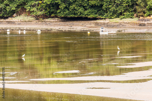 Sur les bords de la Laïta photo