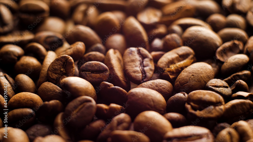 cocoa beans cocoa beans