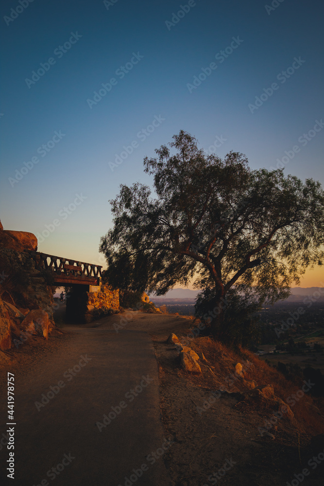 Fototapeta premium sunset on the road