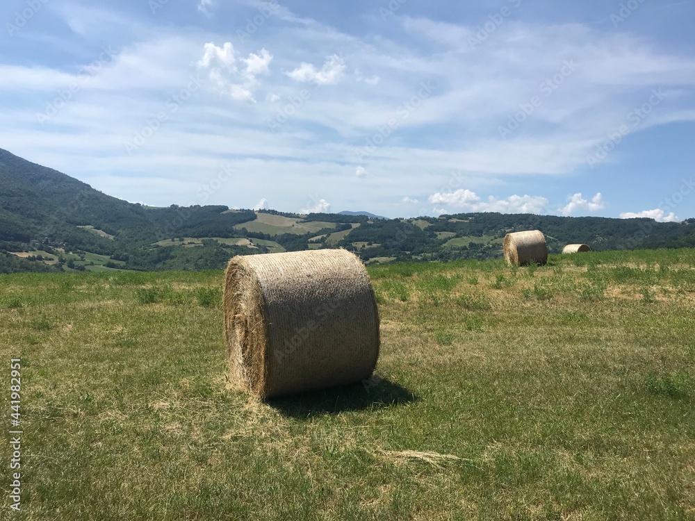 Bales of hay on the rolling hills of Parma, Italy