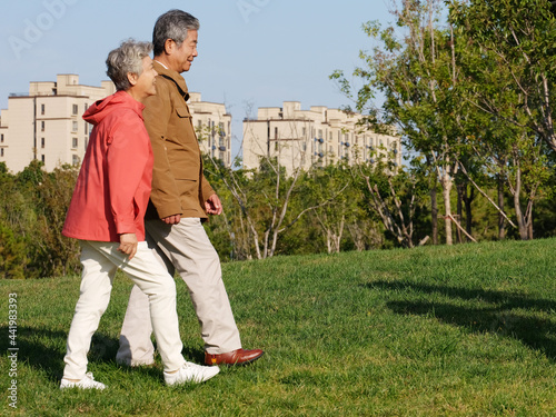 Happy old couple walking in the park