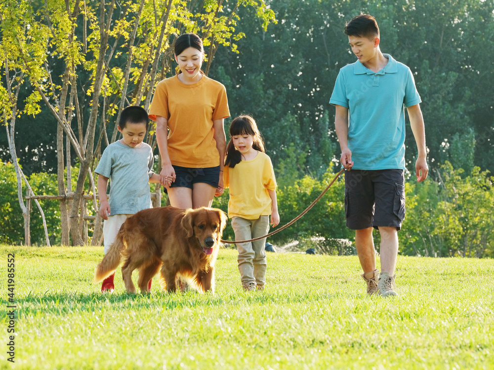 Happy family of four walking dogs in the park Happy family of four walking dogs in the park