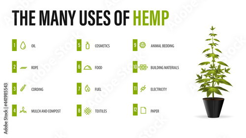 The many uses of hemp, white poster with infographic of uses of cannabis and greenbush of cannabis plant photo