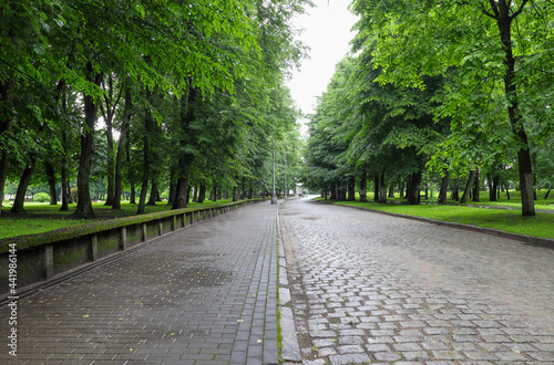 Fototapeta Naklejka Na Ścianę i Meble -  Old paving road in the park, in summer