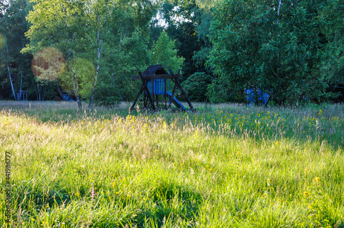 Abendstimmung in einer abgelegenen Laubenkolonie, mit einer großen naturbelassenen Wildwiese in deren Mitte sich ein Spielplatz befindet