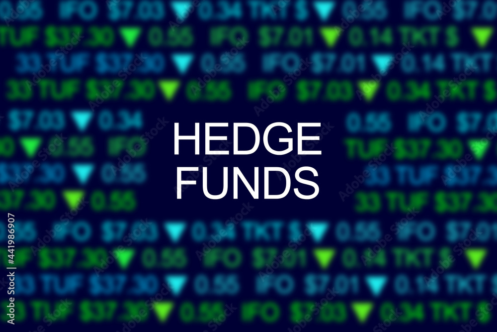 Obraz premium Hedge funds words. Data analitics. Financial technology. Stock market. Investing companies. Trading symbols around Hedge funds text.