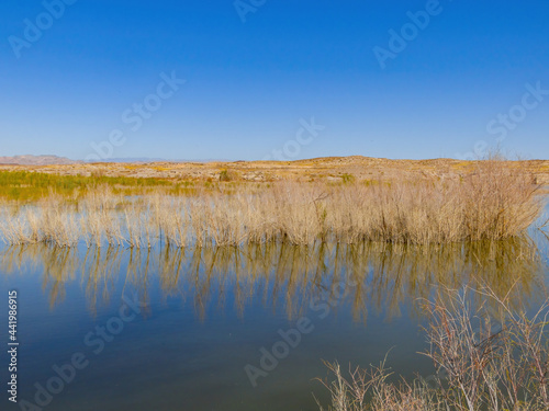 Sunny view of the Beautiful landscape around the Lake Mead National Recreation Area