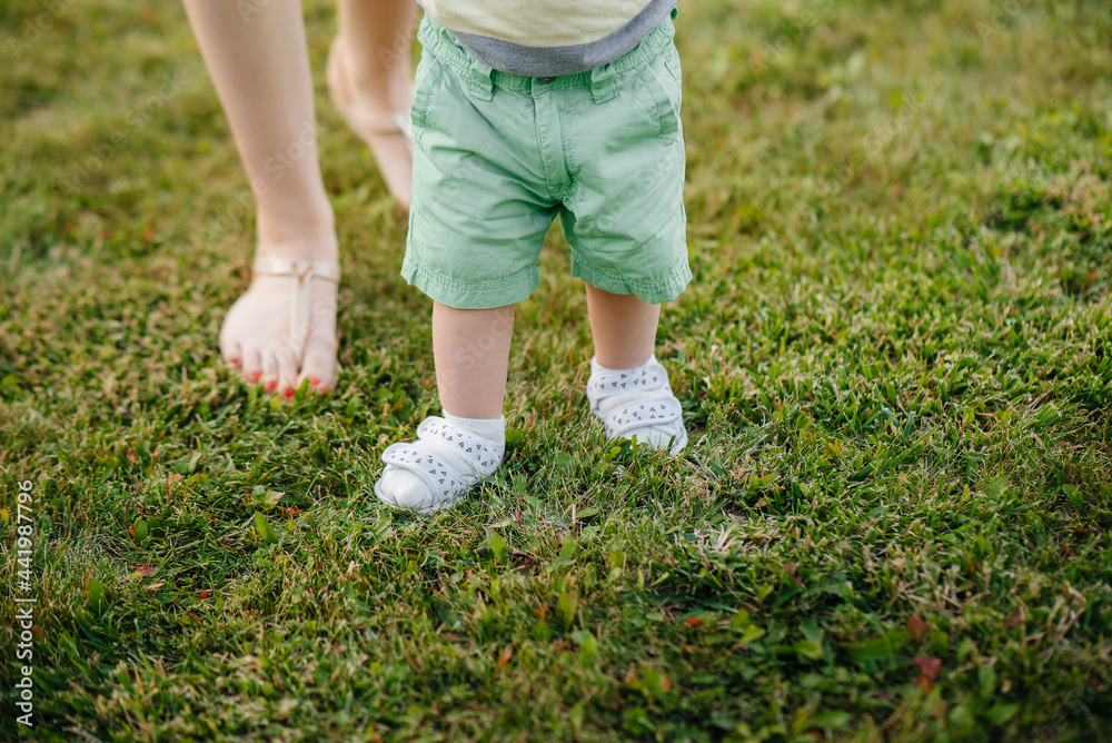 A young cute mother helps and teaches her little son to take his first steps during sunset in the park on the grass. A young cute mother helps and teaches her little son to take his first steps during sunset in the park on the grass.
