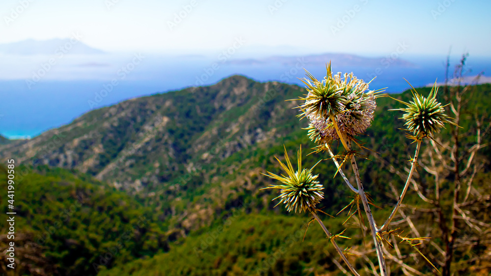 Beautiful mountainous landscape on the island of Rhodes in Greece