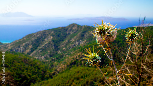 Beautiful mountainous landscape on the island of Rhodes in Greece