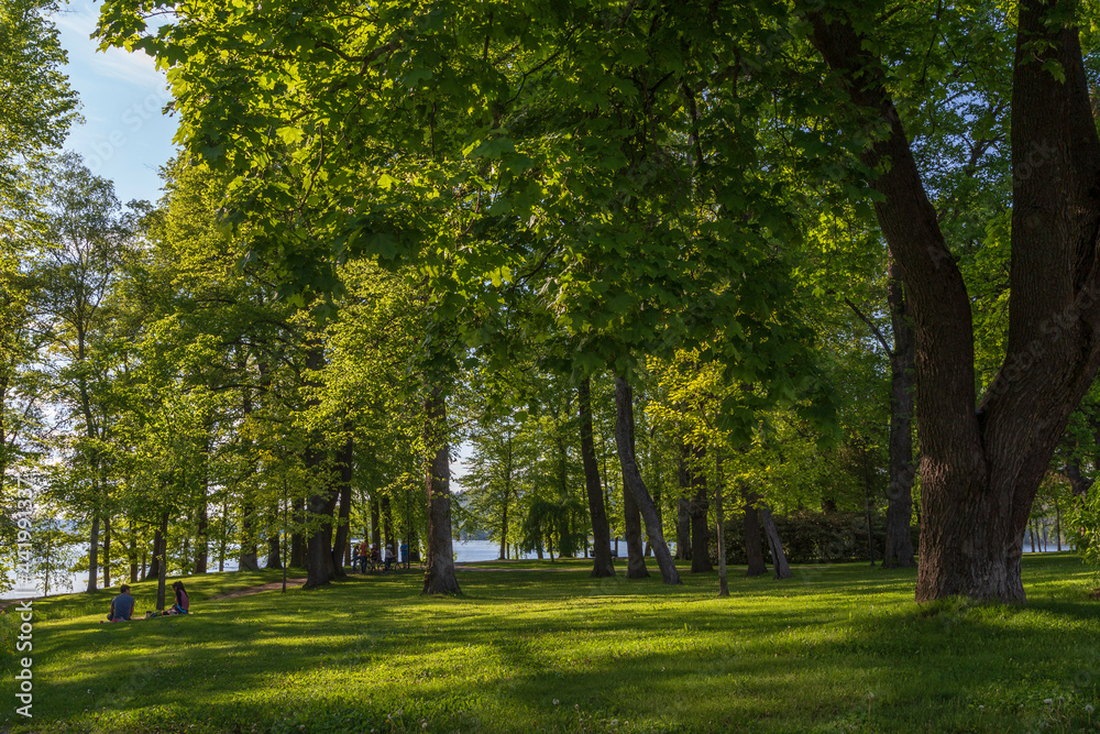 Lush trees and few people at the Hatanpää arboretum public park in Tampere, Finland, on a sunny day in the summer.