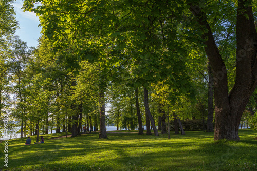 Lush trees and few people at the Hatanpää arboretum public park in Tampere, Finland, on a sunny day in the summer.