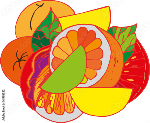 Vector freehand citrus composition. Cut grapefruits and oranges