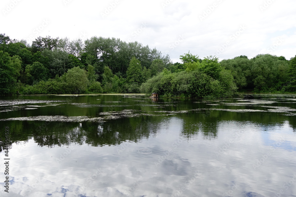 Lake with a duck house in the middle landscape Lake with a duck house in the middle landscape