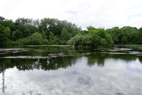 Lake with a duck house in the middle landscape