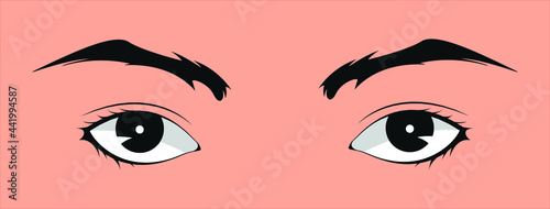Eye with eyebrows and eyelashes.women eyes with sexy look.cartoon eyes vector illustration realistic and beautiful eyes
