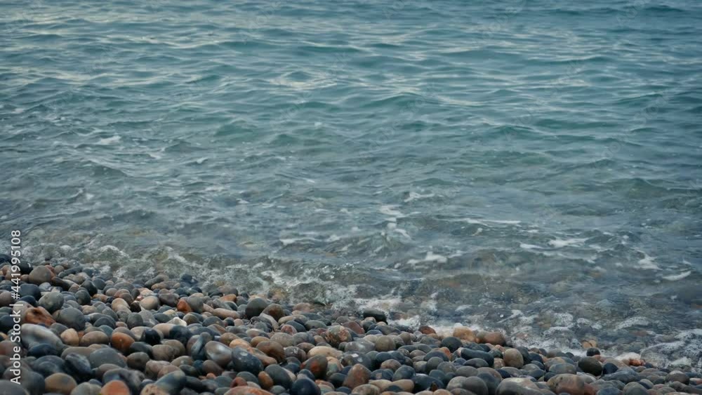 Moving Slowly Along Shore As Waves Come In Moving Slowly Along Shore As Waves Come In