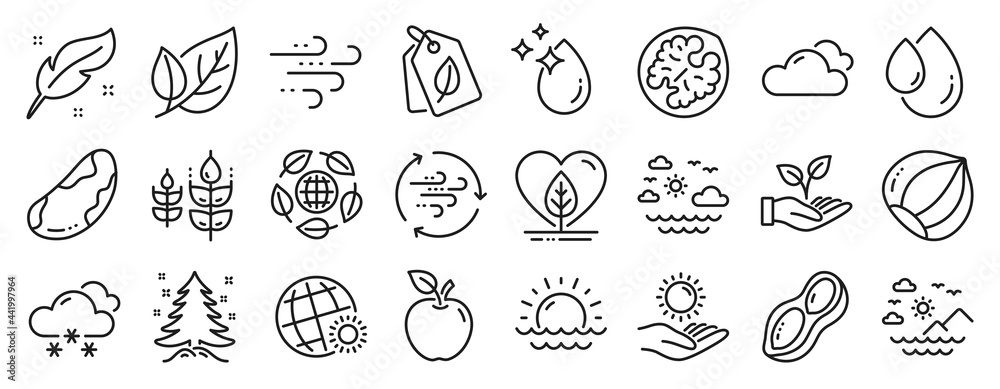 Set of Nature icons, such as Water drop, Christmas tree, Snow weather icons. Brazil nut, World weather, Bio tags signs. Eco organic, Gluten free, Peanut. Travel sea, Leaf, Oil drop. Sunset. Vector Set of Nature icons, such as Water drop, Christmas tree, Snow weather icons. Brazil nut, World weather, Bio tags signs. Eco organic, Gluten free, Peanut. Travel sea, Leaf, Oil drop. Sunset. Vector