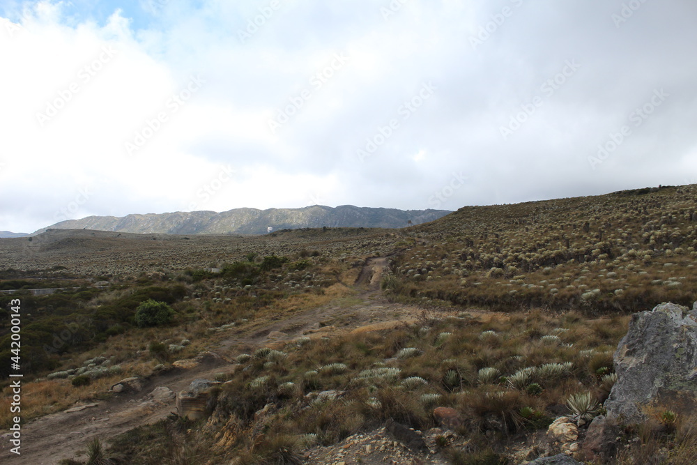 Fototapeta premium landscape with sky