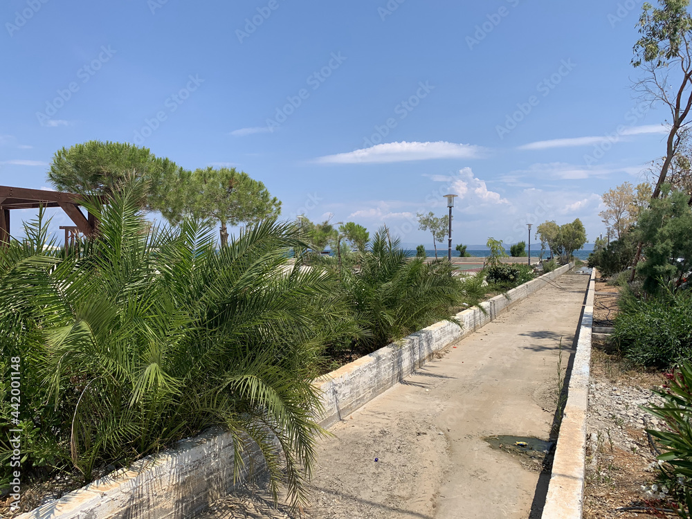walkway with trees in Greece near the ocean on a beautiful day