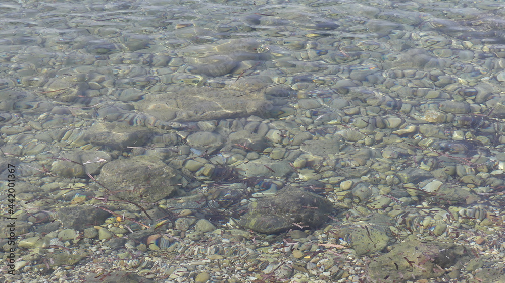 rocks in shallow clear water up close