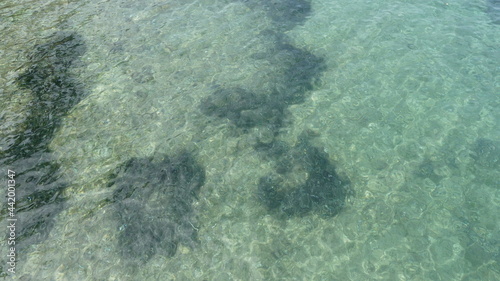 close up of clear water in Greece with plant life on the ocean floor