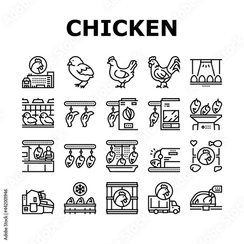 Chicken Meat Factory Collection Icons Set Vector. Chicken Feather Pluck And Washing Machine, Conveyor And Refrigerator For Frozen Carcass Black Contour Illustrations