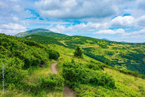 trail uphill the alpine meadow to the distant summit. beautiful mountain landscape in summertime. clouds on the sky. travel countryside concept