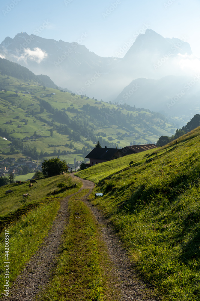 Fototapeta premium In der Schweiz bei den Churfirsten
