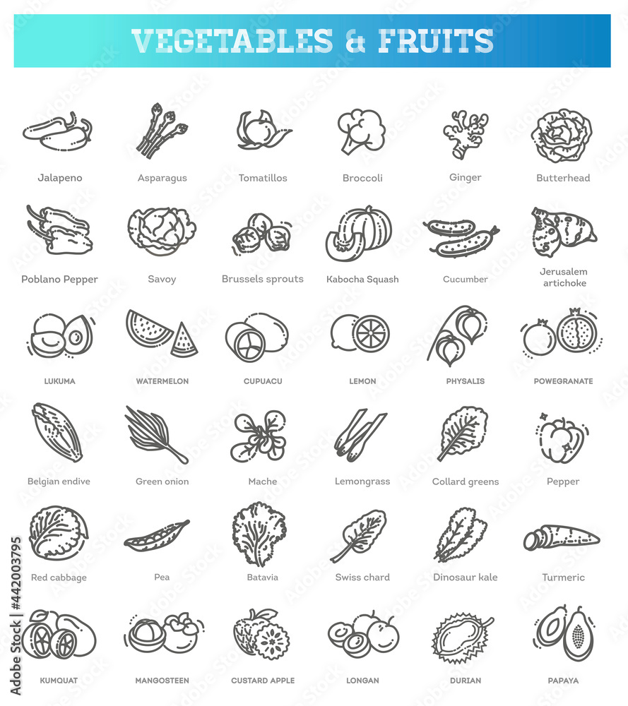 Fresh fruit and vegetables. Vector Icons set