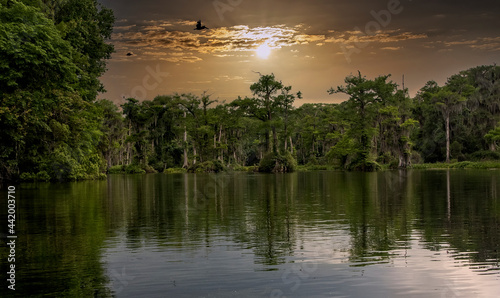 Wakulla State Springs Park in Northern Florida photo