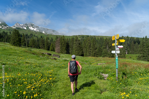 Churfirsten in der Schweiz photo