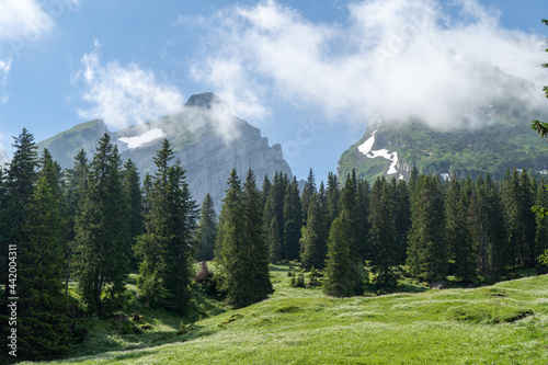 Schweiz im Sommer Churfirsten photo