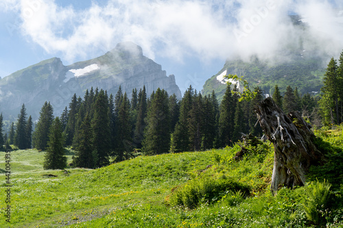 Schweiz im Sommer Churfirsten photo