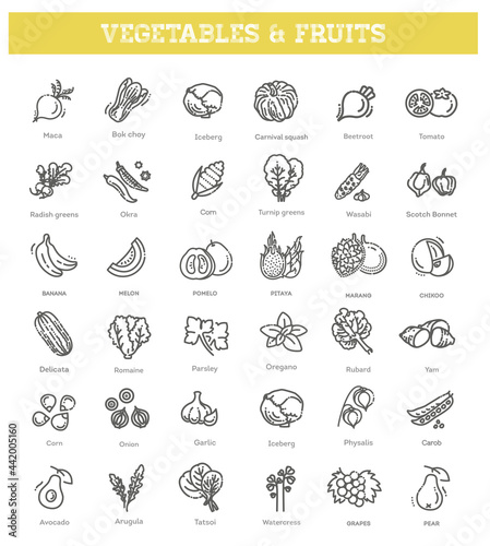 Fresh fruit and vegetables. Vector Icons set