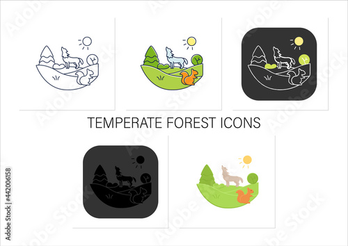 Temperate forest icons set.Forest found between tropical,boreal regions,located in temperate zone.Animals living place.Collection of icons in linear, filled, color styles.Isolated vector illustrations