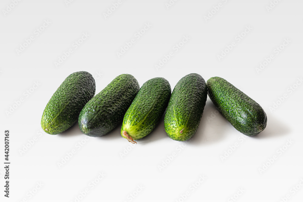 Few green cucumbers with pimples on a light background Few green cucumbers with pimples on a light background