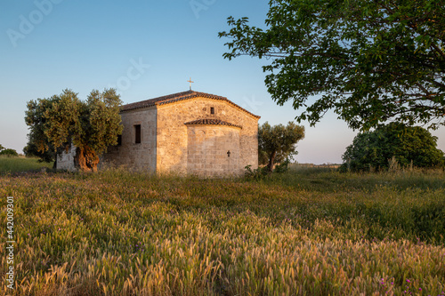 A small old orthodox church with stone walls and a tiled roof in the middle of a field brightly lit by the rising sun surrounded by olive trees against the backdrop of a clear sky