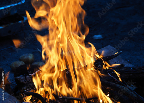 campfire flame in the forest during picnic for cooking photo