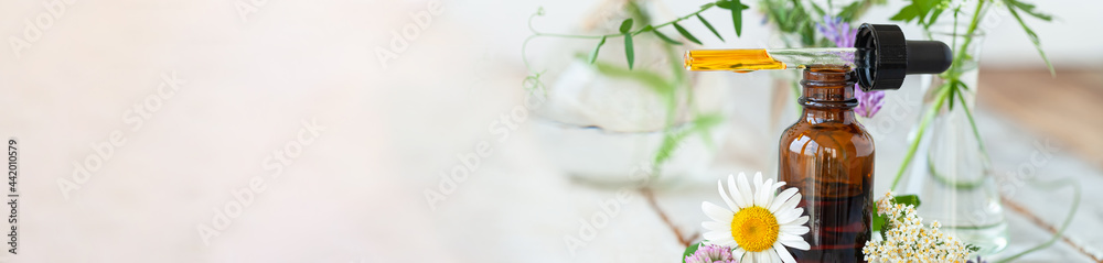 Concept of pure natural organic herbal, flower ingredients in cosmetic production. Camomile, lavender essential oils for gentle face and body care. Aromatherapy. Wooden background, copy space banner - obrazy, fototapety, plakaty 