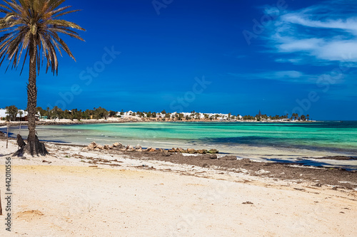 A beautiful view of the Mediterranean coast with birch water  a beach with white sand and a green palm tree.
