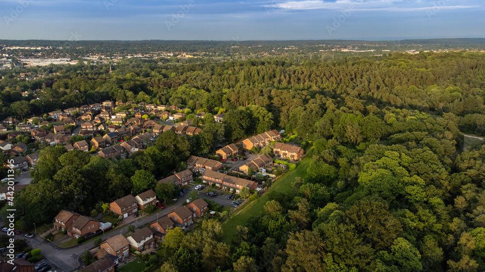 UK Estate in the forest. Buildings near the fores