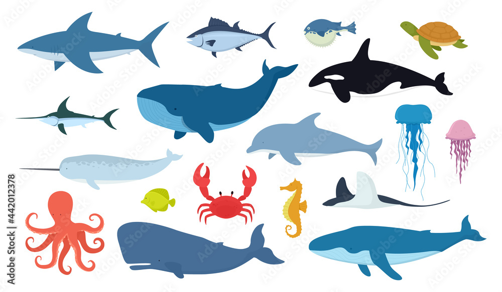 Vector set of fish and ocean animals. Shark, dolphin, narwhal, blue whale, octopus, sperm whale, swordfish, killer whale, jellyfish, turtle isolated on white background. Vector set of fish and ocean animals. Shark, dolphin, narwhal, blue whale, octopus, sperm whale, swordfish, killer whale, jellyfish, turtle isolated on white background.