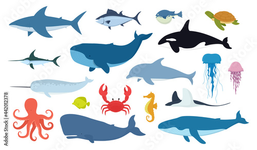 Vector set of fish and ocean animals. Shark  dolphin  narwhal  blue whale  octopus  sperm whale  swordfish  killer whale  jellyfish  turtle isolated on white background.