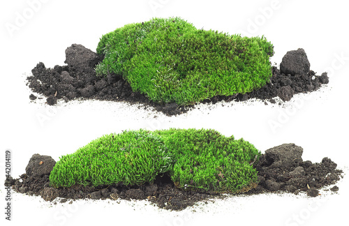 Set of moss on dirt pile, front view. Green moss isolated on a white background.