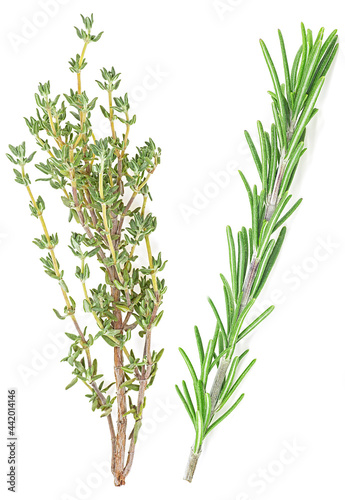 Fragrant herbs - green branches of rosemary and thyme isolated on a white background  top view. Flat lay.