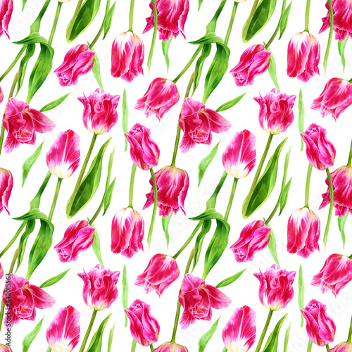 Seamless pattern with bright pink tulips  green stems and leaves on white background. Endless floral high detailed illustration for wrapping paper  fabric  gardening background