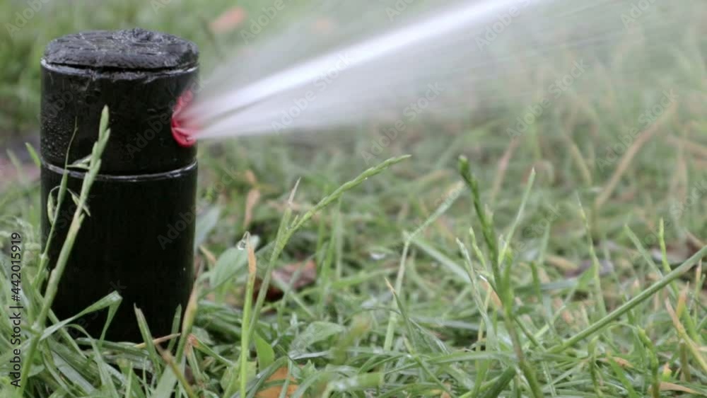 Lawn irrigation system working in a green park. Spraying the lawn with water in hot weather. Automatic sprinkler. The automatic watering sprinkler head watering the lawn. Smart garden. Lawn irrigation system working in a green park. Spraying the lawn with water in hot weather. Automatic sprinkler. The automatic watering sprinkler head watering the lawn. Smart garden.