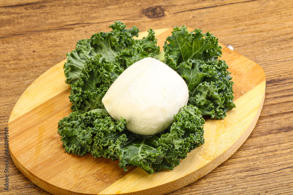 Soft mozzarella cheese over board Soft mozzarella cheese over board